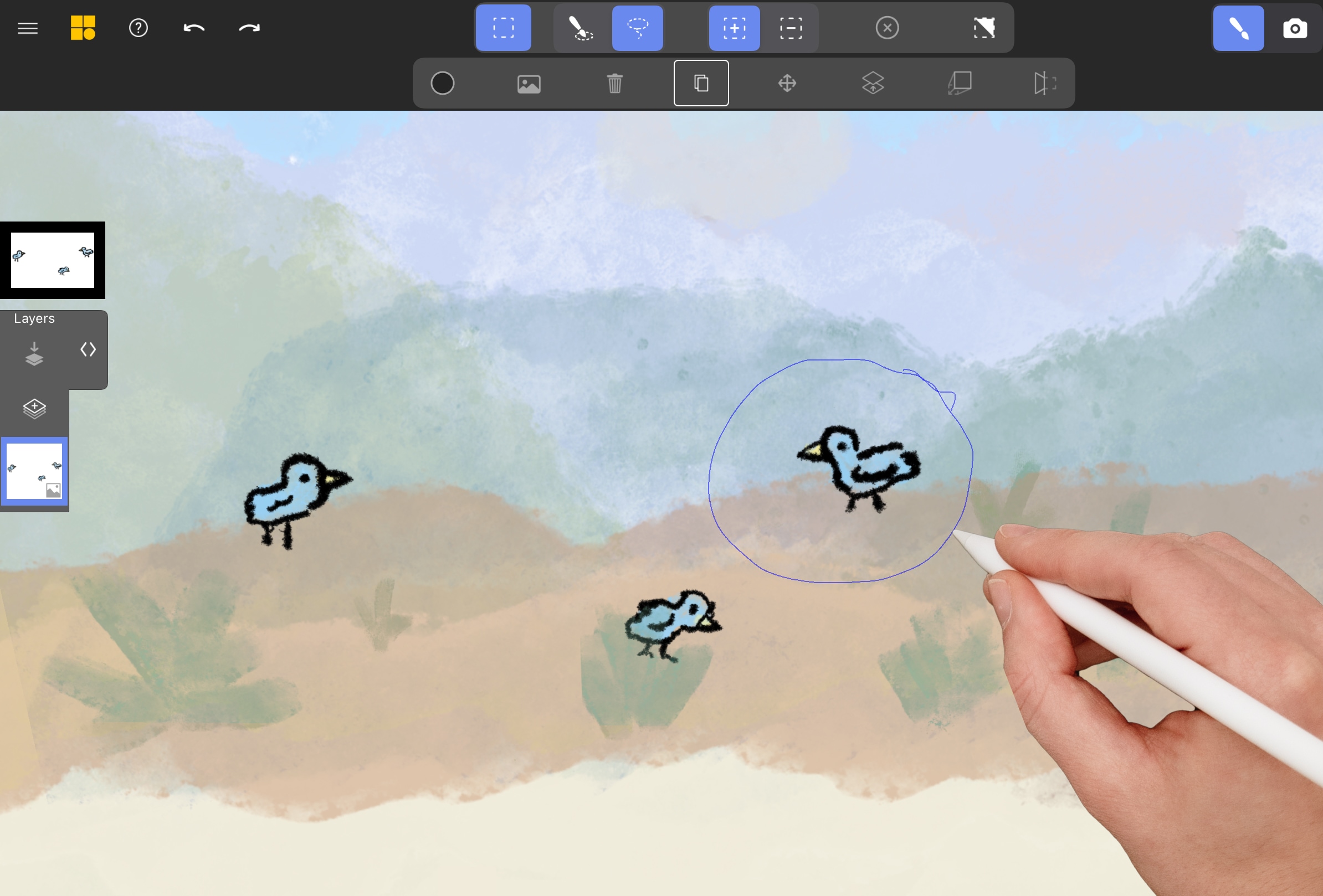 Using the Lasso tool to draw a selection around a bird on an image layer.